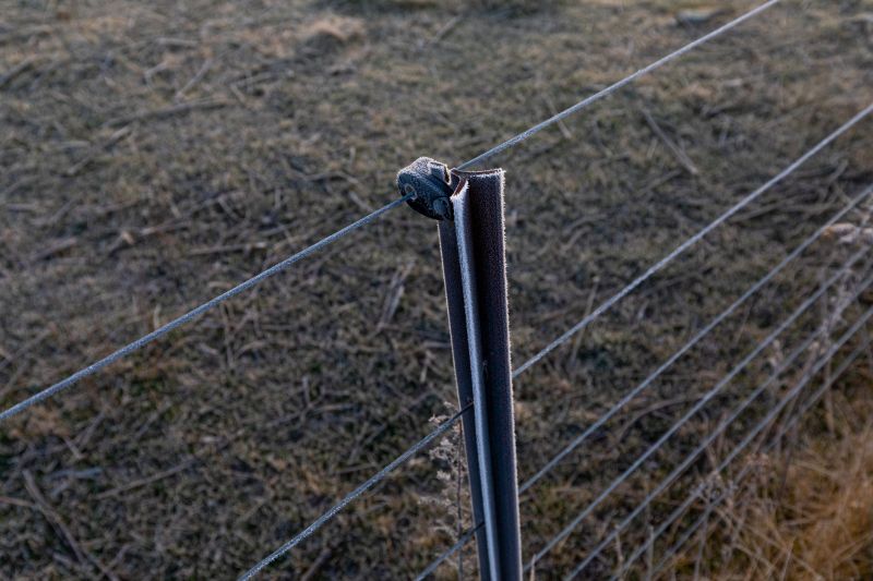 Deer Fence Repair