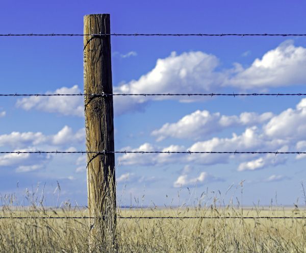 Barbed Wire Fence Installation Service